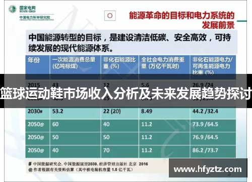 篮球运动鞋市场收入分析及未来发展趋势探讨